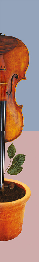 violon logo bleu et rose