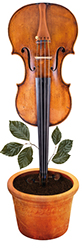 violon Orchestre